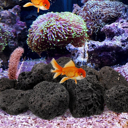 INOOMP Aquarium Lava Rocks, 1 Set of Black Volcanic Rocks Natural Lava Pebbles Stones Planter Natural Stones for Fireplaces Fire Pits Plants Culti...