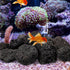 INOOMP Aquarium Lava Rocks, 1 Set of Black Volcanic Rocks Natural Lava Pebbles Stones Planter Natural Stones for Fireplaces Fire Pits Plants Culti...