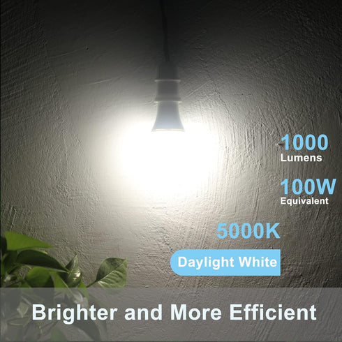 Dusk to Dawn Light Bulbs 1000 Lumen, Daylight, LED 12W, A19 E26, 2-Pack, HQ-H023...