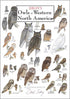 Earth Sky + Water - Sibley’s Owls of Western North America - Poster...