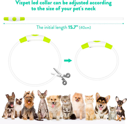 Led Dog Collars for Small Dog,Vizpet XS Light up Adjustable Collar USB Rechargeable Bright Safety Pet Collar for Cats Dogs(Green)...
