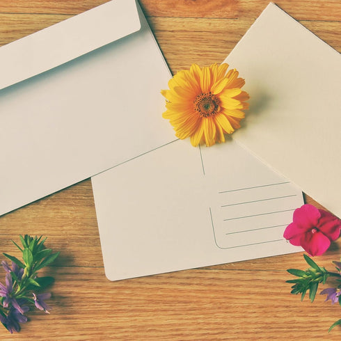 YOKIVE 24pcs Gift Card Envelopes, 10x7cm Mini Envelopes Small Envelopes Credit Card Size Bulk for Thank You Cards Graduation Greeting Wedding Birt...