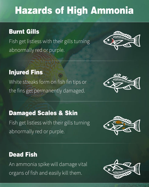 Pawfly Aquarium Ammonia Test Strips, 150 Aquarium Test Strips Accurate Ammonia Test Kit with Test Tube Aquarium Water Test Kit for Fish Tank...