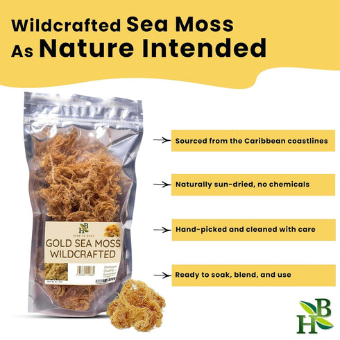 Herb To Body Irish Sea Moss – 4oz, Gold, 100% Wildcrafted from Saint Lucia, Raw and Dried Sea Moss, Vegan Superfood with 90+ Minerals, Non-GMO...