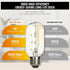 Fishbone LED Filament Vintage Edison Light Bulbs, T45/T14 E26 4W Antique Tubular Edison Bulbs 40 Watt Equal, 400LM 4000K Daylight White Spiral Ret...