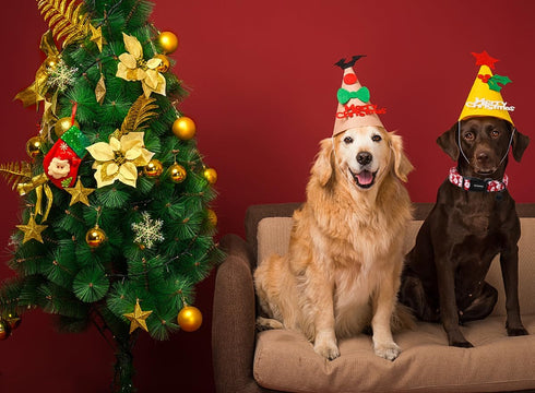 DOGWONG Christmas Cotton Dog Collar, Red Santa Claus Dog Collar Durable Holiday Pet Dog Collar Cute Puppy Necklace for Small Medium Large Dog...