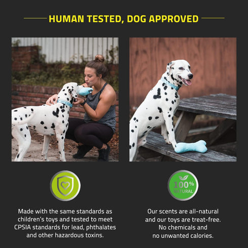 Playology Plush Squeaky Bone Dog Toy - Engaging All Natural Beef Scented Plush Dog Toy with Interactive Squeaker for Large Dogs (35lbs & Up) - Eas...