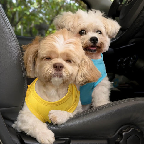 2 Pieces Independence Day Puppy Clothes Unisex Clothes for Small Dogs Flag Printed Puppy Shirt Dog Apparel Breathable Doggy Clothes Boy and Girl D...