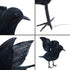 3-Pack Halloween Black Feathered Crow Realistic Handmade Crow Prop for Halloween Party Outdoors and Indoors Decoration...
