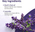 Alaska Devil's Club Lavender Salve - Handmade Skin Care Ointment with Lavender - Natural Muscle Rub with Premium, Responsibly Sourced Plant Materi...