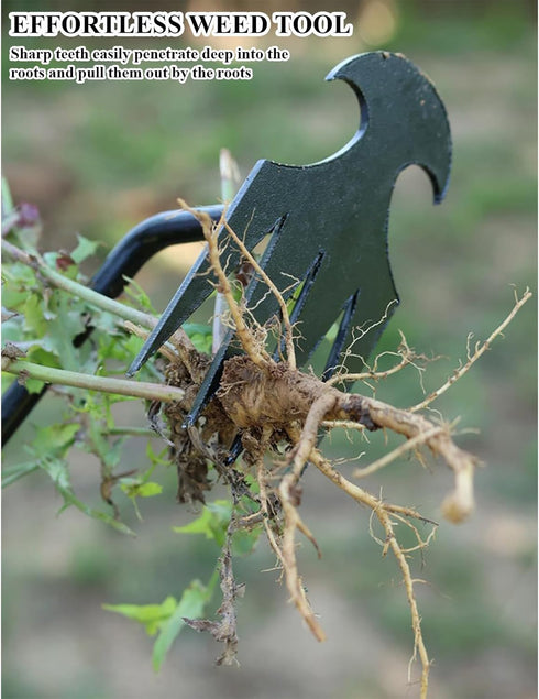 Weed Puller Tool Gardening Tools Set of 2 Uprooting Weed Pulling Tool, 4 Teeth Manganese Steel Forged Weeding Tool for Vegetable, Portable Hand We...
