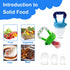 Food Feeder Baby Fruit Feeder Pacifier (3 Pcs) with 6 Different Sized Silicone Pacifiers 2 PCS Silicone Baby Food Dispensing Spoon 90ML with 2 Bab...