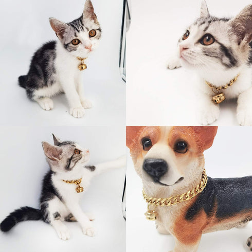 18K Gold Cat Dog Collar Kitten Puppy 1/2inch 12mm Wide Stainless Steel Kitten Choker Curb Chew Proof Cuban Link Chain with Bell (Neck Fit 6"-8") (...