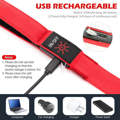 LED Dog Leash Light Up Dog Leash 4 Feet Micro USB Rechargeable Nylon Webbing Glow Safety Standard Dog Leash for Dogs by Bpawser (Red)...