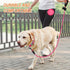 BARKBAY Dog Leashes for Large Dogs Heavy Duty Dog Leash 4/5/6 FT with Comfortable Padded Handle and Highly Reflective Threads for Medium Large Dog...