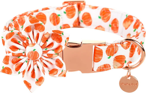 Halloween Dog Collar with Flower, Pumpkin Cotton Flower Collar for Small Girl Boy Dog, Fall Dog Collar Flower with Durable Metal Buckle, Adorable ...