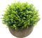 Mini Fake Cypress Cedar Plants for Bathroom Home Office Desk Decor, Small Artificial Faux Greenery for Farmhouse Decorations (Potted Plants) (2)...