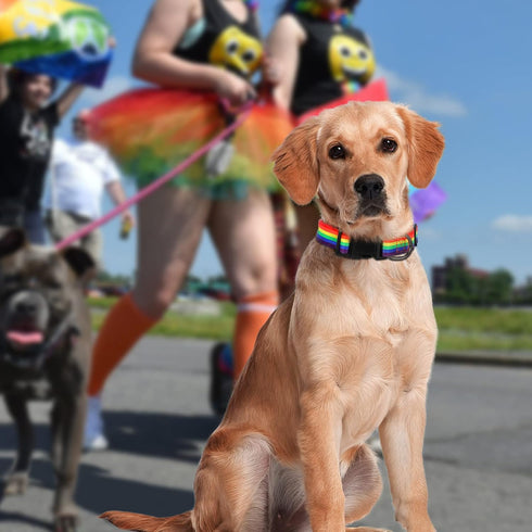 WHIPPY Rainbow Flag Dog Collar Soft Gay Pride Puppy Collar LGBTQ Pet Collar for Parade Adjustable LGBT Rainbow Stripe Dog Collar with Buckle for S...