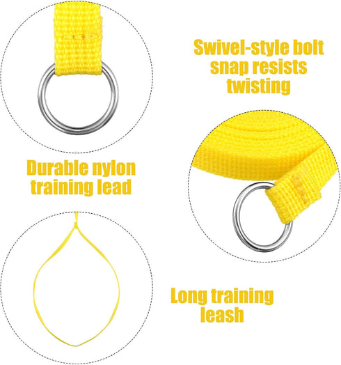 18 Pieces Slip Leads Dog Leash Pet Rope with O-Ring 6 Feet for Small Medium Large Dogs Grooming Shelter Rescues Walking Training (Neon Green, Oran...