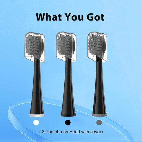 Replacement Brush Heads for Waterpick Sonic Fusion 2.0 Flossing Toothbrush with Cover, Compact, 3 Count Black, Hard Bristles...