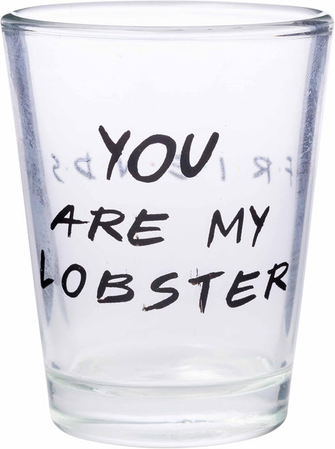 Silver Buffalo Friends Iconic Quotes "You're My Lobster," "How You Doin'" "Pivot," and "We Were On A Break!" 4 Pack Mini Glasses, 1.5 Ounces...