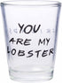 Silver Buffalo Friends Iconic Quotes "You're My Lobster," "How You Doin'" "Pivot," and "We Were On A Break!" 4 Pack Mini Glasses, 1.5 Ounces...