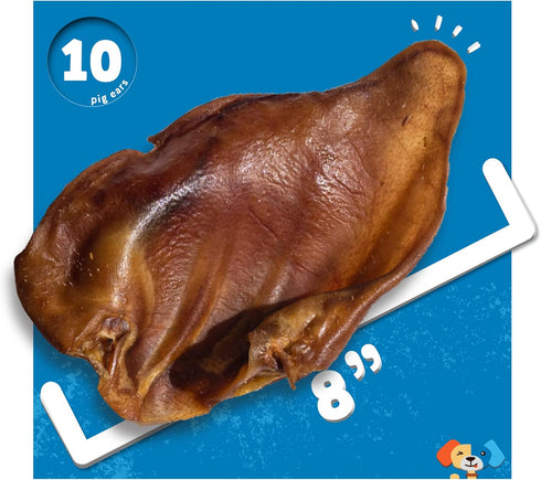 Jack&Pup Whole Pig Ears for Dogs - Extra Thick Large Pigs Ears - Premium Dog Pig Ear Treats - Natural Dog Pork Chews; Excellent Rawhide Alternativ...
