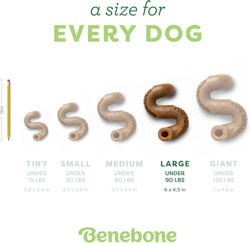 Benebone Tripe Bone Durable Dog Chew Toy for Aggressive Chewers, Real Tripe, Made in USA, Large...