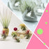 6 Pack Ceramic Air Plant Stand Holder, Hand Shape Tillandsia Airplant Container Pot Tabletop Plant Display Hand Racks for Home Office Decoration S...
