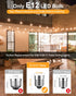 GLUROO LED String Light Bulbs, ST38 Shatterproof LED Replacement Bulbs for Outdoor String Lights Eidison Bulb fits E12 C7 Screw Base, 1Watt Equvan...