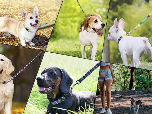MayPaw 6FT Nylon Dog Leash Printing Floral Pattern Colorful Pet Leash for Puppy Small Medium Large Dogs...