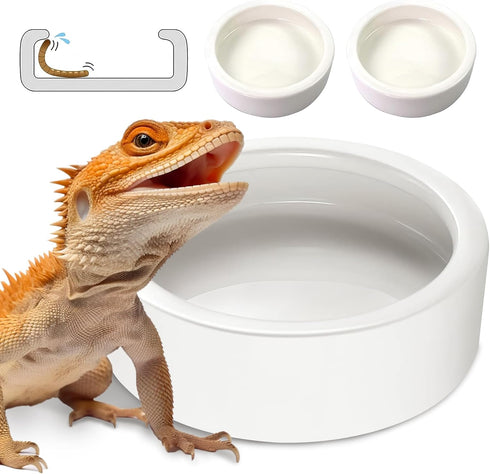 Worm Dish - Large 2 Pcs Reptile Food Water Bowl Lizard Gecko Ceramic Pet Bowls, Mealworms Bowl for Bearded Dragon Chameleon Hermit Crab Dubia Rock...