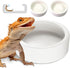 Worm Dish - Large 2 Pcs Reptile Food Water Bowl Lizard Gecko Ceramic Pet Bowls, Mealworms Bowl for Bearded Dragon Chameleon Hermit Crab Dubia Rock...