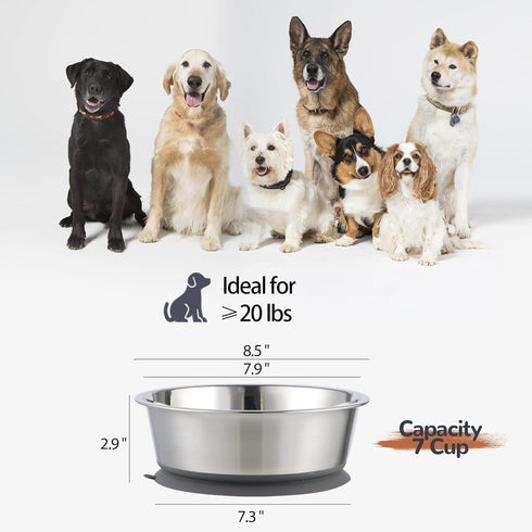 Stainless Steel Dog Bowl | Set of 2, Metal Dog Bowls with Suction Base, Rubber Bottom & Premium Material & Easy Clean (Gray-2 Pack)...