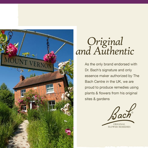 Bach Original Flower Remedies, Heather for Empathy (Non-Alcohol Formula), Natural Homeopathic Flower Essence, Holistic Wellness and Stress Relief,...