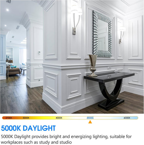E ENERGETIC LIGHTING 4 Pack Dimmable A21 LED Bulb, 150 Watt Equivalent, Daylight 5000K, 2600LM Super Bright Light Bulbs, E26 Standard Base, Damp R...