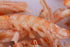 Premium Freeze-Dried Krill & Shrimp Mix Ideal for Arowana, Koi, Tropical Cichlids, and Turtles High Protein Floating Aquarium Food (1000ml)...