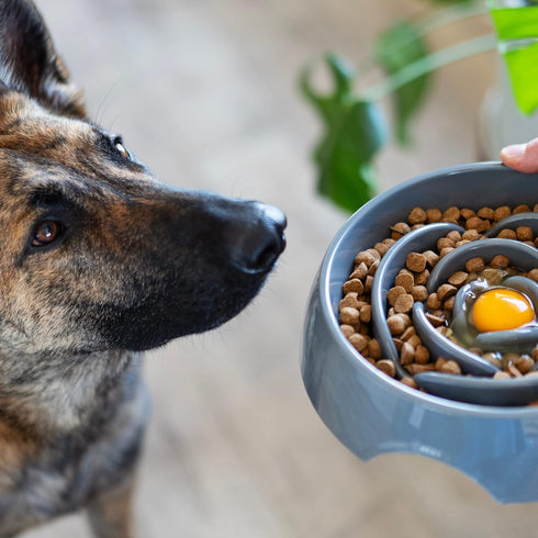 Messy Mutts Interactive Slow Feeder | Puzzle Slow Feeder Dog or Cat Bowl | Enrichment Food Dish to Slow Eating, Prevent Bloating | 9.8” x 2.2” | 3...