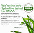 Chlorella Spirulina Powder Capsules Organic 3000 mg of BMAA Free Purest Blue Green Algae - Best Natural Detox Raw Vegan Vitamins Protein Green Sup...