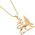African Ethiopian Lion Pendant Necklace Lion of Judah Jewelry Charms Ethnic Gifts...