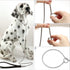 CaptainSteeL Stainless Steel Dog Leash, 3ft, 4ft, Integrated Dog Collar and Leash, 5mm 1m/1.2m Metal Dog Leash for Small and Large Pets, with Leat...