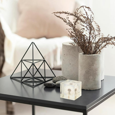 Glass Balls 3D Dandelion Crystal Glass Cube Transparent Desktop Statue Ornament for Birthday Wedding Valentine Home Decor(1.97 in)...