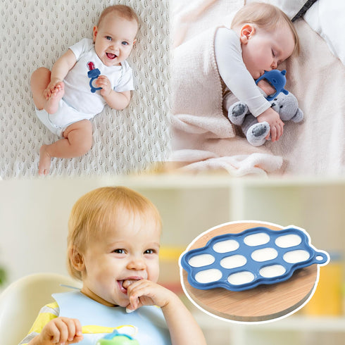 Baby Fruit Feeder & Breastmilk Popsicle Molds – (3-Pack) Teething Relief Set with Mesh & Silicone Pacifiers, Freezer Tray, Food Feeder for 0–12 Mo...
