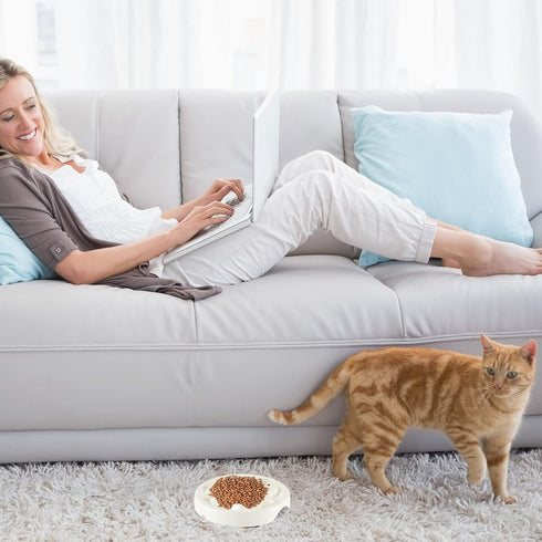 2 Pcs Cat Slow Feeder Bowl Pet Feeder Wet Food Slow Feed Raised Dish Healthy Eating Diet Fun Interactive Feeding Bowls for Cats and Dogs Dishwashe...