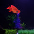 Silicone Artificial Fish Aquarium Decortion High Simulation Lifelike Floating Fake Betta Fish Tank Ornament (Red Goldfish)...