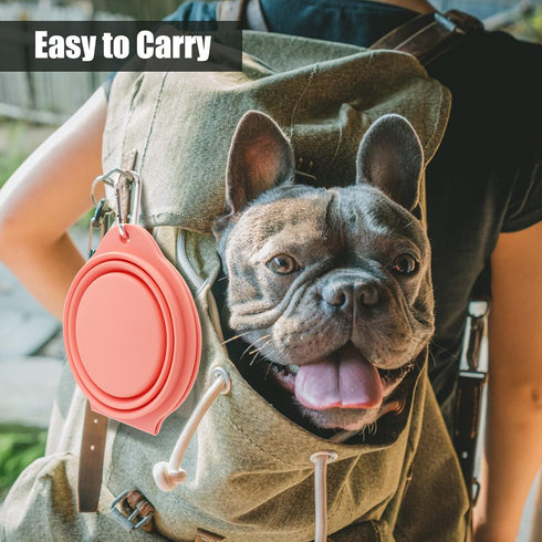 SLSON Collapsible Dog Bowls,Integrated Molding Dog Double Bowl No Plastic Rim 2 in 1 Foldable Pet Food & Water Bowl Cat Feeder Dish for Walking,Hi...