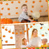 60 Pieces Pumpkin Cutouts Classroom Decoration Fall Bulletin Board Decorations 6 Designs Pumpkin Cutouts with 60 Glue Point for Halloween Fall Tha...