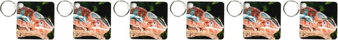 3dRose Rainbow Panther Chameleon, Lizard - NA02 DNO0692 - David Northcott - Key Chains, 2.25 x 4.5 inches, set of 6 (kc_84033_3)...