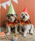 Cat Witch Halloween Costume Suit, Hmxpls Small Dogs & Cats Tutu Collar and Witch Pumpkin Hat Cute Costume Suit Kitten Outfit Clothing for Birthday...