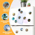 Glass Strong Animals Refrigerator Magnets,12 Pcs Decorative Magnets for Fridge Lovely Decor for Home Kitchen Office Whiteboard (Dinosaur Refrigera...